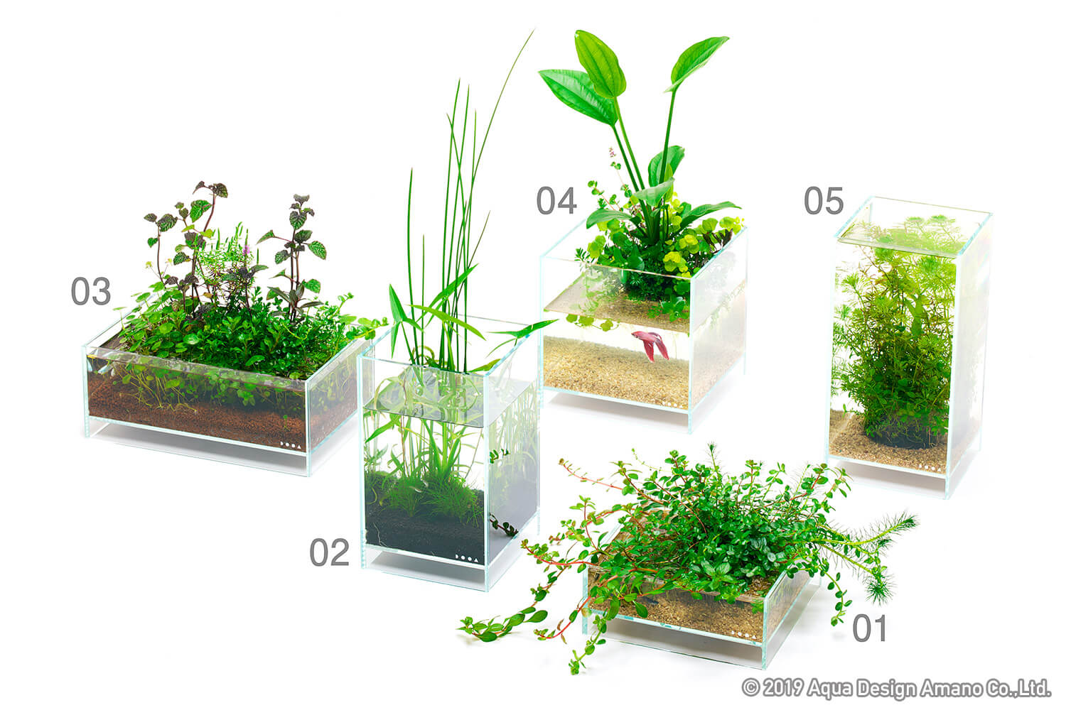 ADA 侘び草ウォールと侘び草ウォールスタンドセット DOOAが提案する