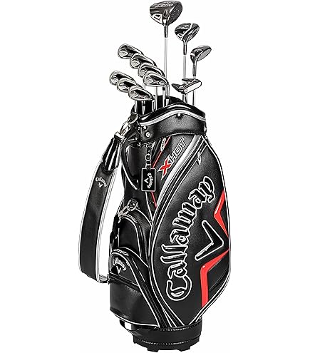 Amazon.co.jp: 本間ゴルフ HONMA D1 オールインワン クラブセット 10本